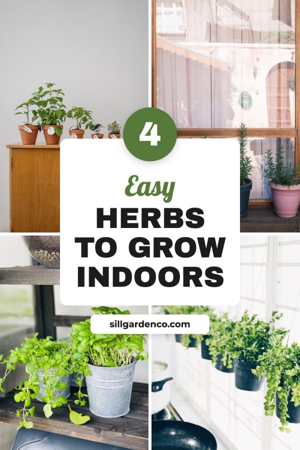 Number Badge Card Canva Pinterest Templates example: a gardening pin titled "4 Easy Herbs to Grow Indoors"