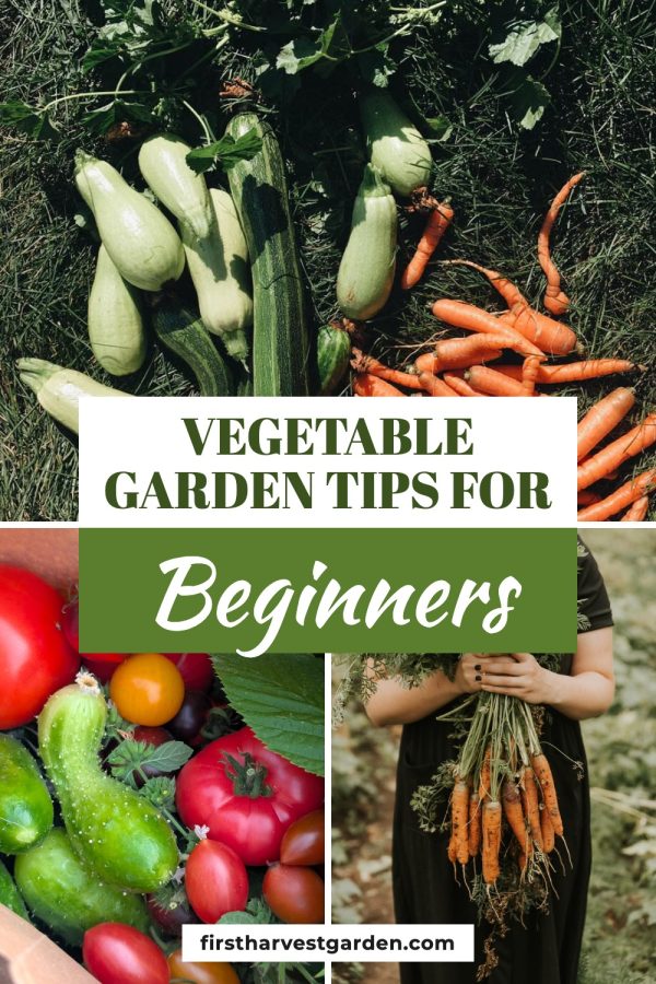 Strip Sandwich Free Pinterest Templates example: a gardening pin titled "Vegetable Garden Tips for Beginners"