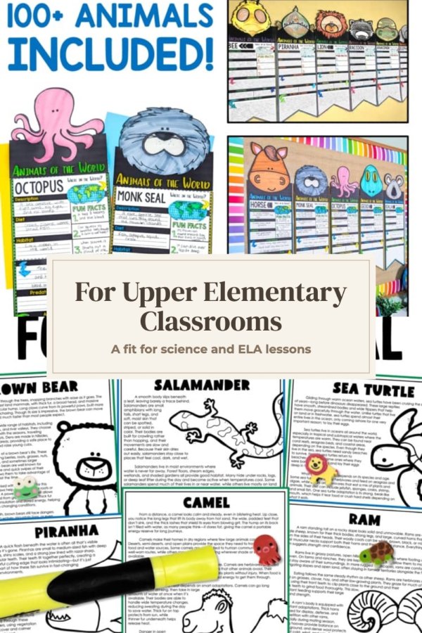 Pinterest template pin example: For Upper Elementary Classrooms