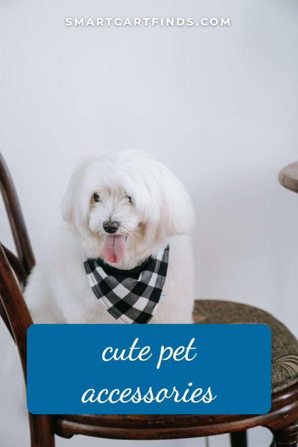 Pinterest template pin example: Cute Pet Accessories