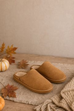 Example of the Seasonal scene look
