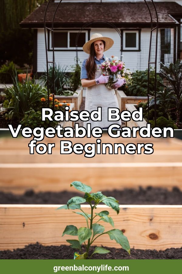 Two Photos Stacked Pinterest template example: a gardening pin titled "Raised Bed Vegetable Garden for Beginners"