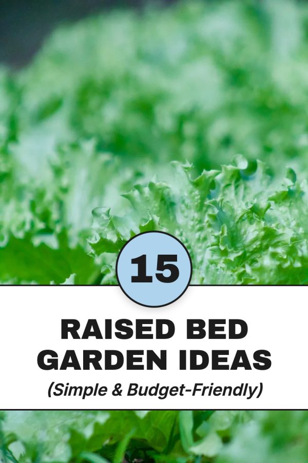 Number Badge Bold Pinterest template example: a gardening pin titled "15 Raised Bed Garden Ideas"
