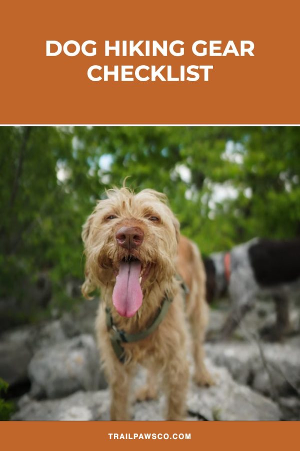 Color Header Pinterest template example: a pets pin titled "Dog Hiking Gear Checklist"
