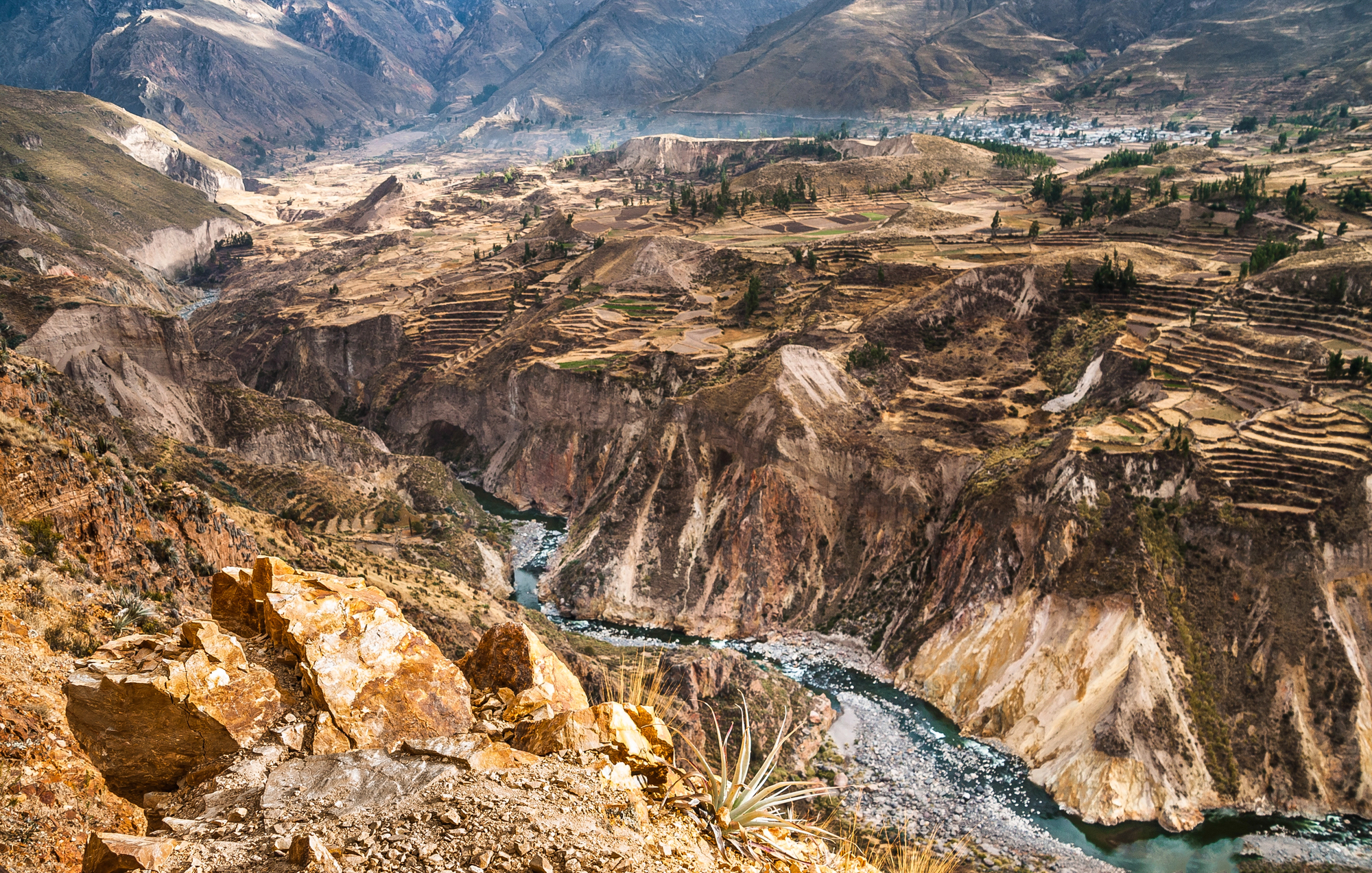 Take a Colca Canyon Day Trip