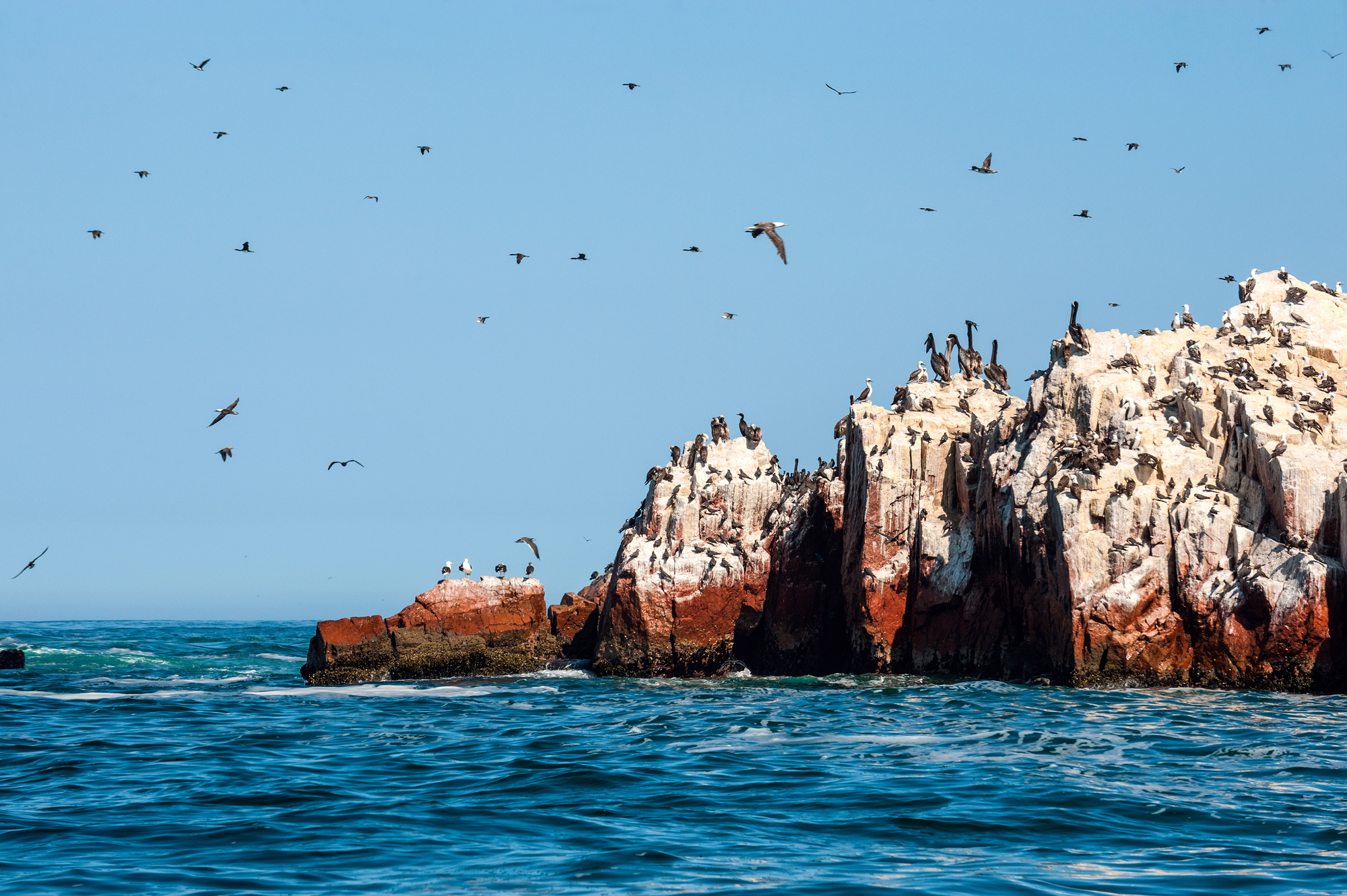 Paracas National Reserve and Ballestas Islands