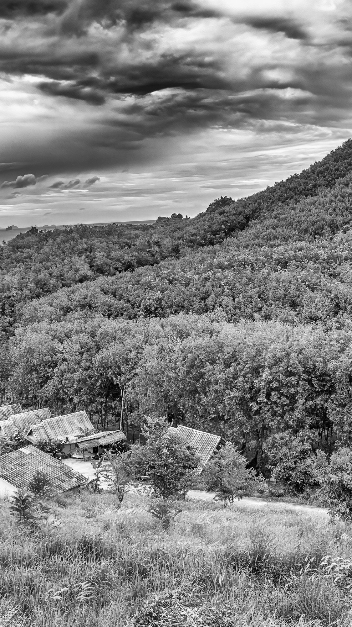 Day Trips to Nearby Chacras and Farms