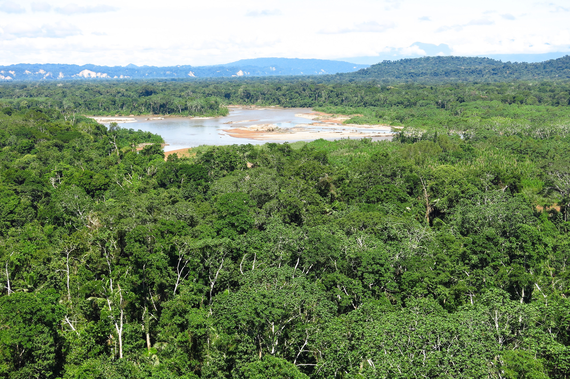 Madidi National Park and Pampas Wetlands