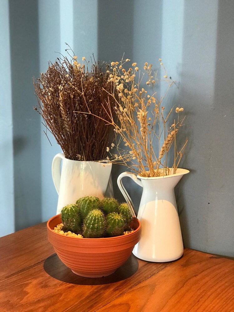 Disposez des herbes séchées dans des vases en terre cuite