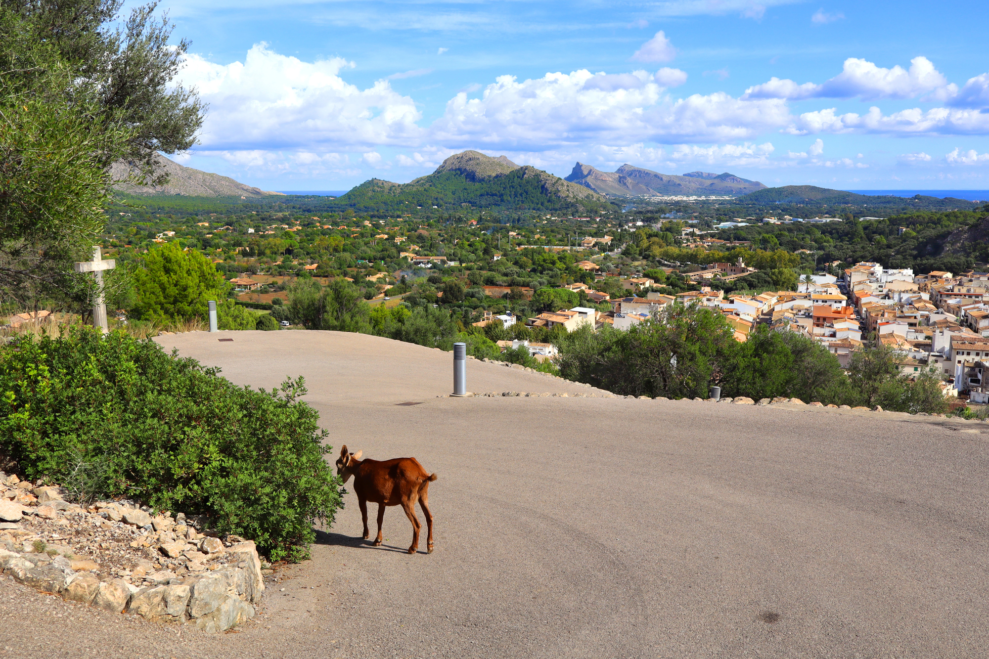 Copacabana Town and Calvary Hill Viewpoint
